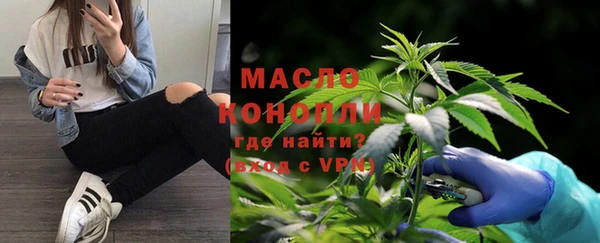 индика Верхний Тагил