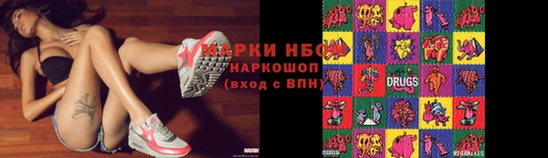 индика Верхний Тагил