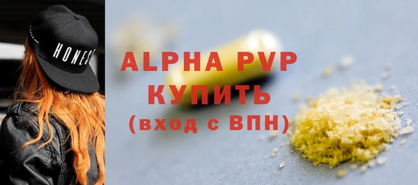 индика Верхний Тагил