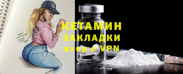 индика Верхний Тагил