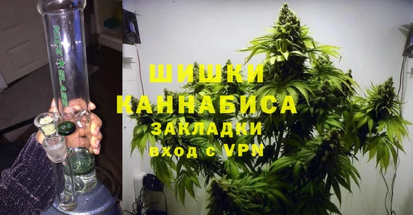 не бодяженный Бородино