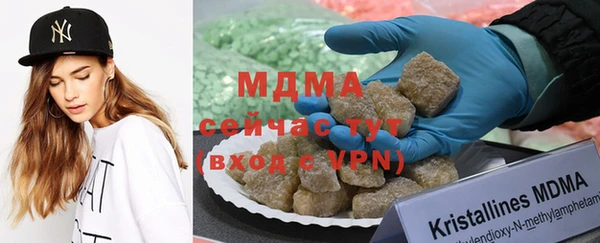 индика Верхний Тагил